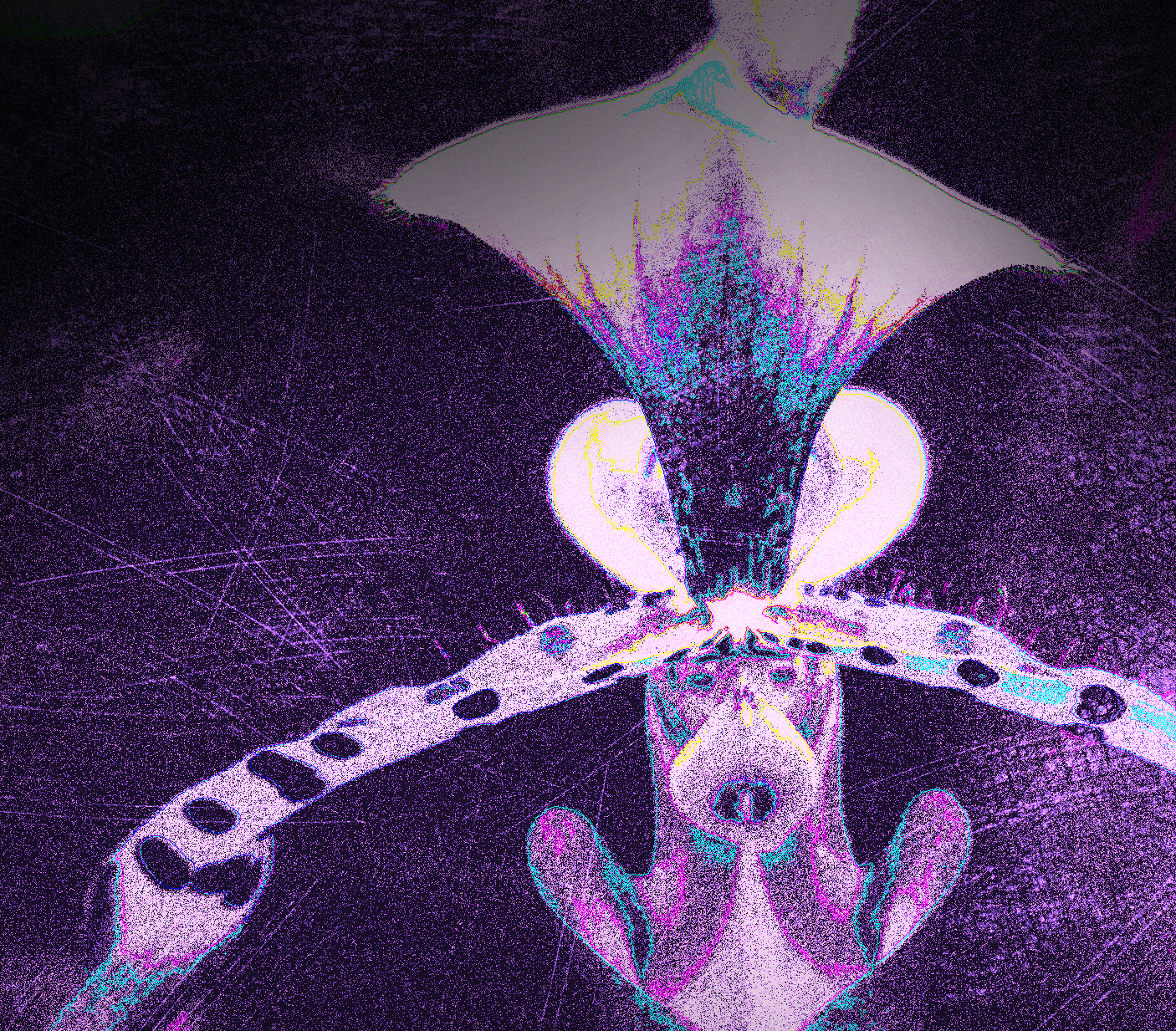 Orchid in artificial UVIVF